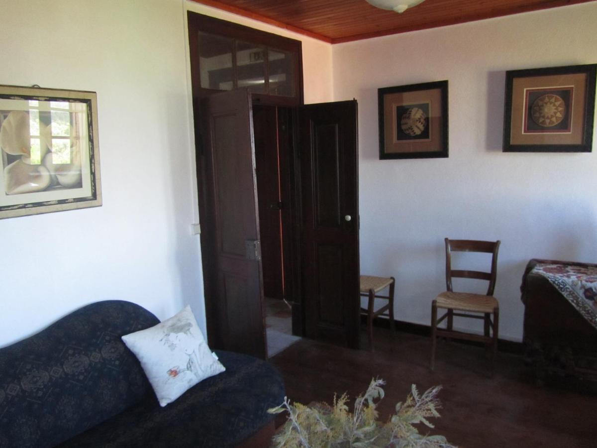 Casa Amarela Leilighet Sao Pedro de Tomar Eksteriør bilde